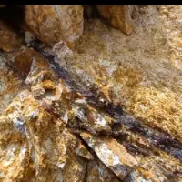 Filão Central Oficial's profile picture