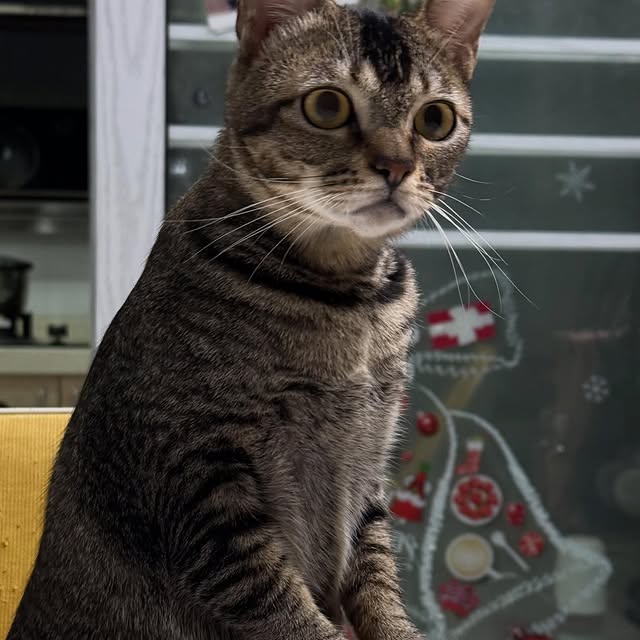 Post by maxim.lavrin