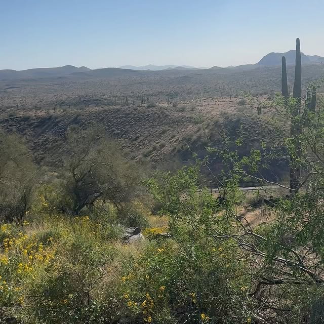 Post by orudesignsusa