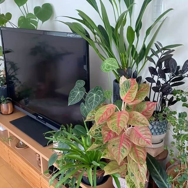 Post by time_with_liberty