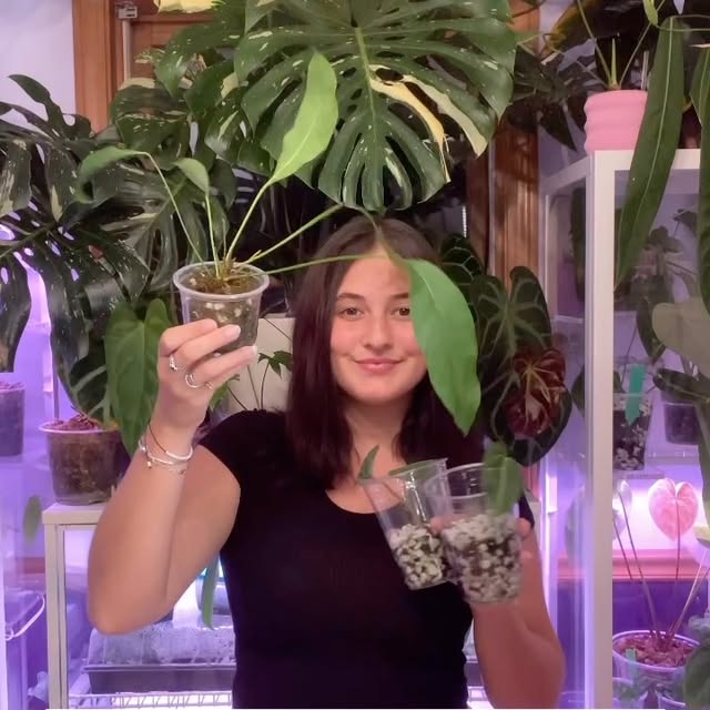 Post by kellylynn.plants