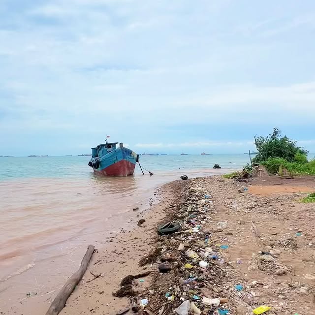 Post by marinestewards