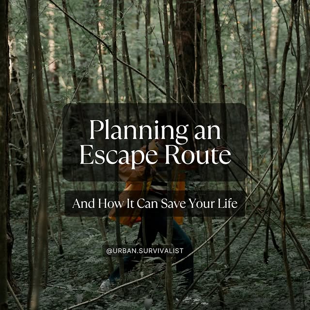 Post by urban.survivalist