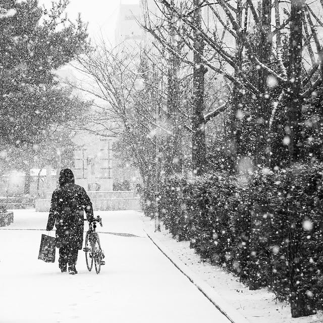 Post by gallerys_photo