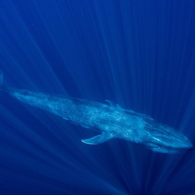 Post by shanegrossphoto