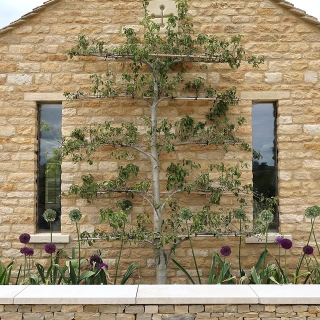 Post by studiopollyannadesign