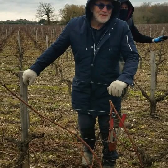 Post by chateaumarquisdalesme