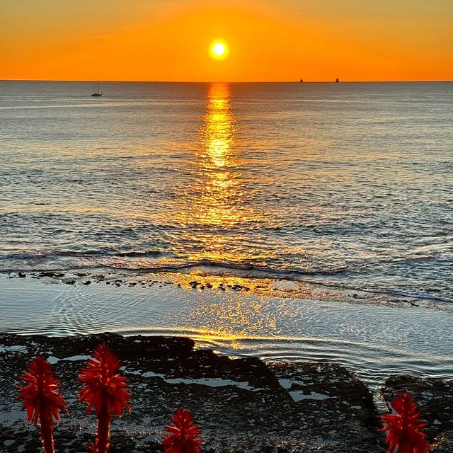 Post by the_red_postcards