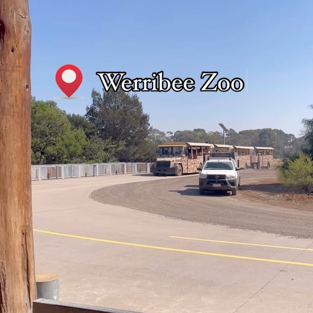 Post by zo.and.sunny