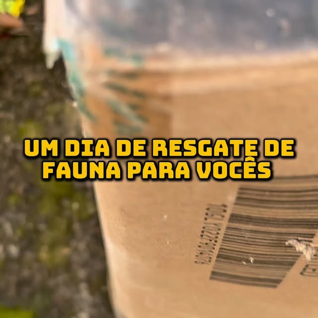 Post by biologo.christian