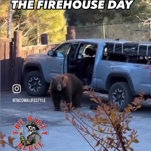 Post by thedirtydeuce