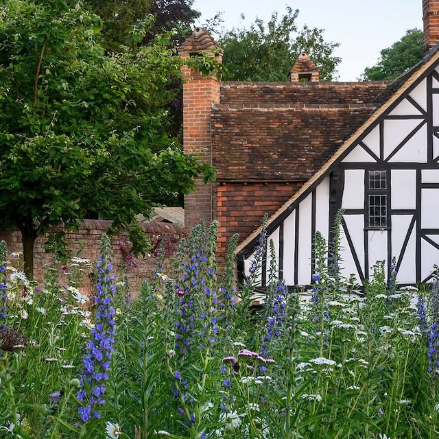 Post by jothompson.studio