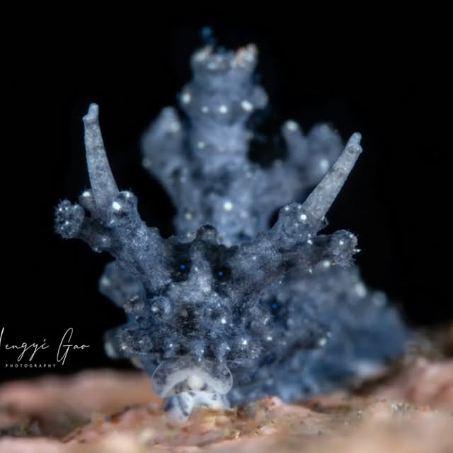 Post by submariner_202