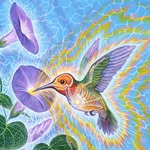 Delvin Solkinson's profile picture