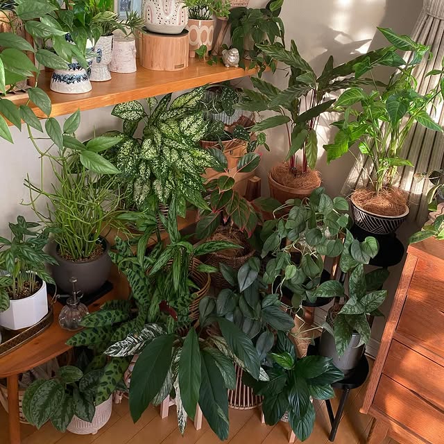 Post by time_with_liberty