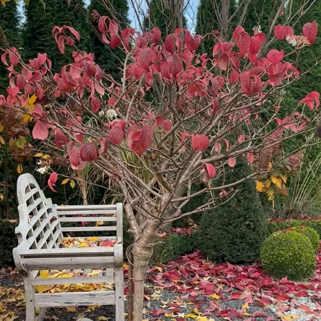 Post by garden_by_marta