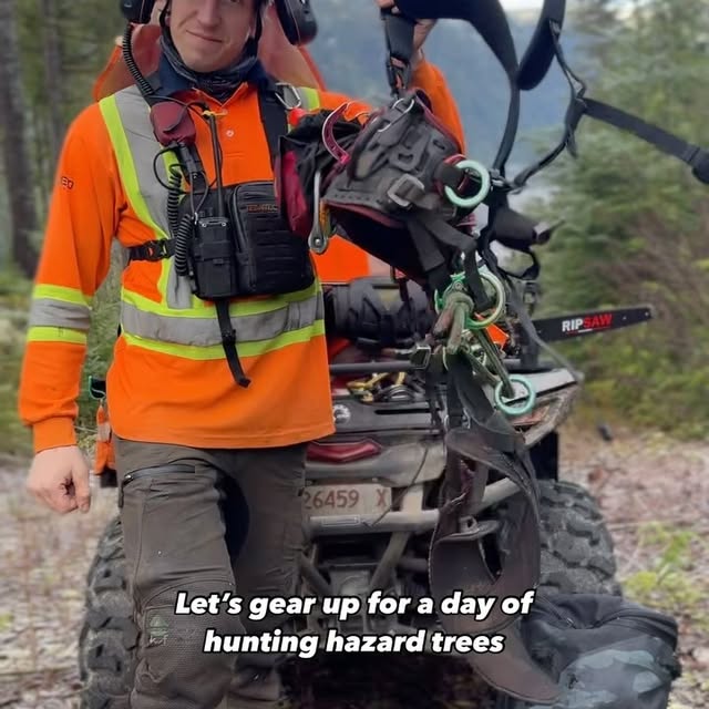 Post by benoftheforest