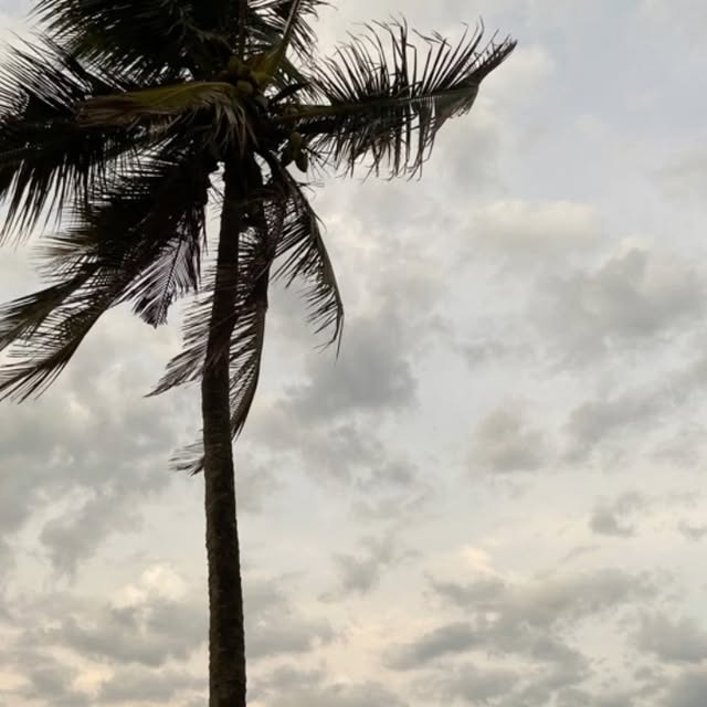 Post by mademoisellesam