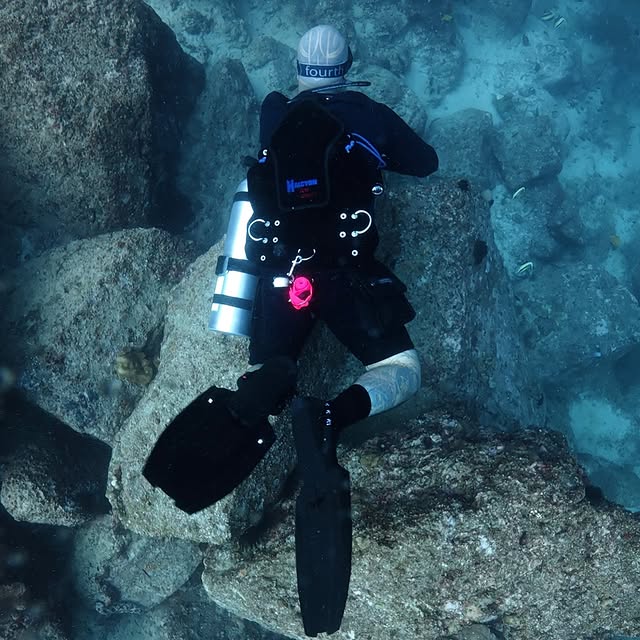 Post by kingkongdivingsg