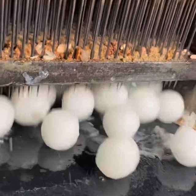 Post by imrans_review