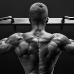 gym | workout | fittness's profile picture