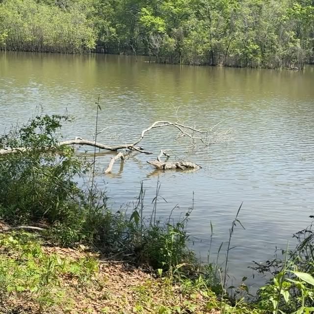 Post by official_scottchristopher