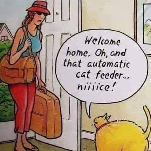 Post by furbabyfriend