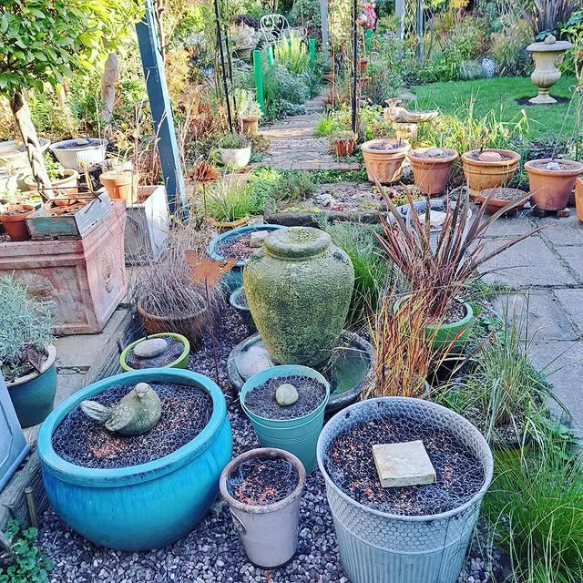 Post by the_hampshire_gardener