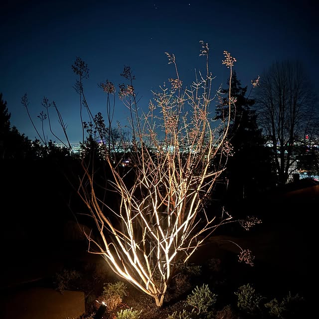 Post by botanica_design