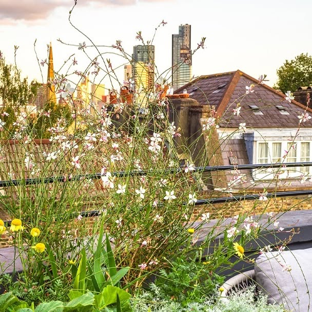 Post by gardenclublondon