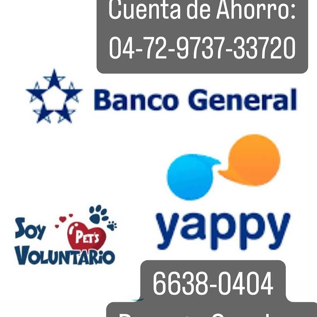 Post by rescatecanalero