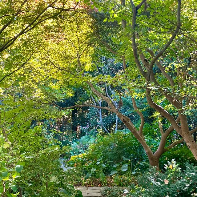 Post by ruth_willmott_associates