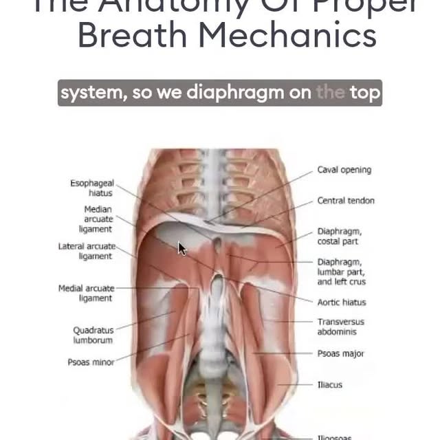 Post by yoga_medicine