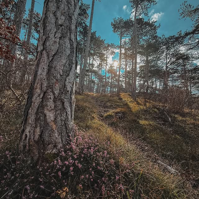 Post by timdreher.visuals