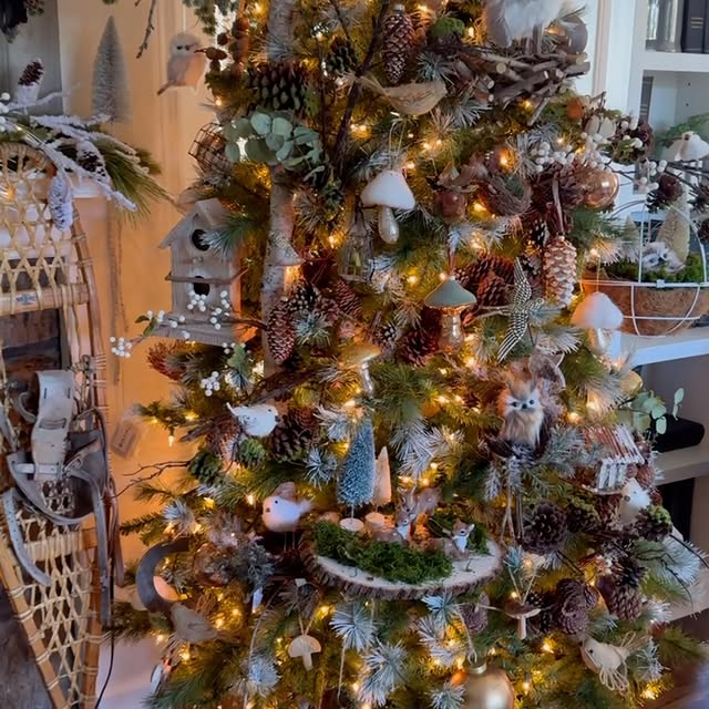 Post by old_castle_cottage