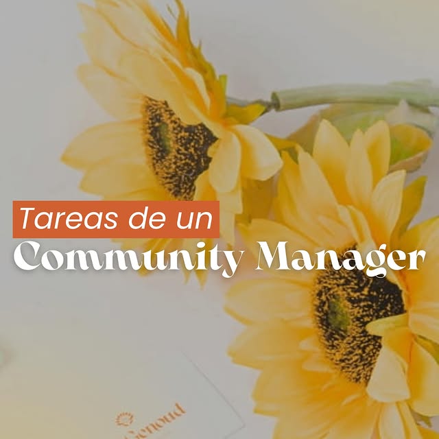 Post by untipdemarketing