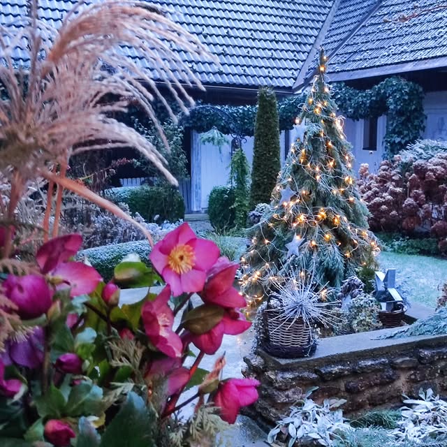 Post by gartenheidisuess