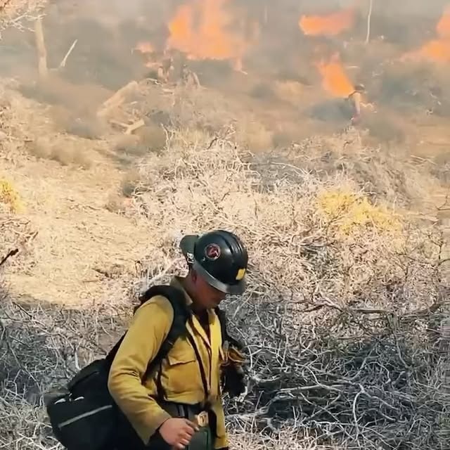 Post by firesciencenutrition