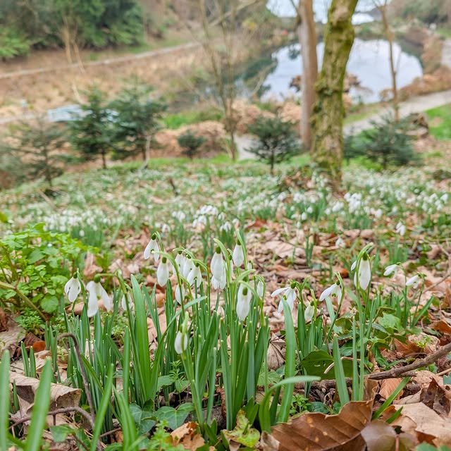 Post by trebahgardencornwall