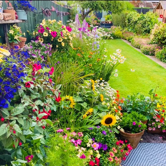 Post by bibbys_home_and_garden