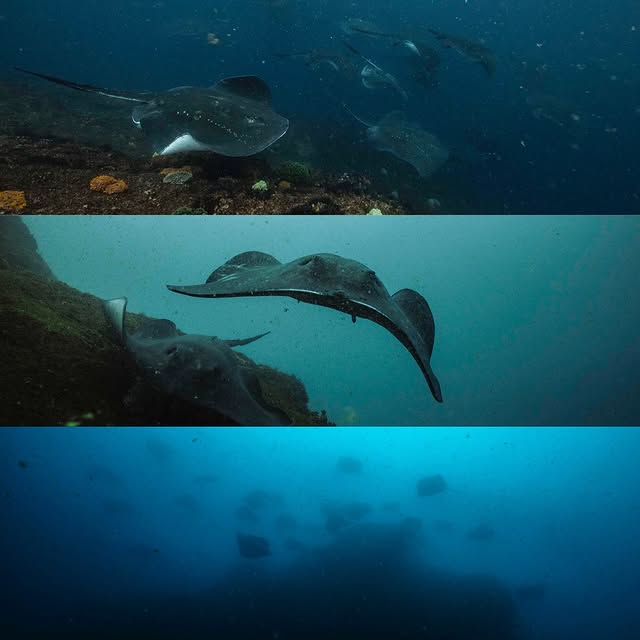 Post by wildkirinphotography