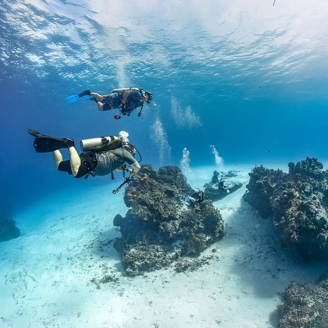 Post by brett_hoelzer