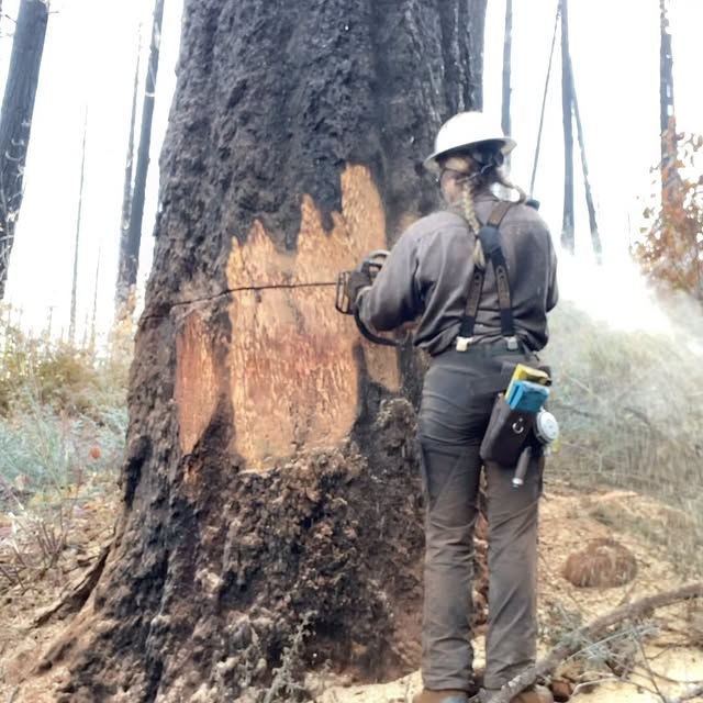 Post by urlocallumberjill