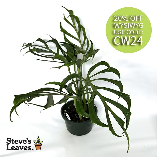 Post by stevesleavesinc