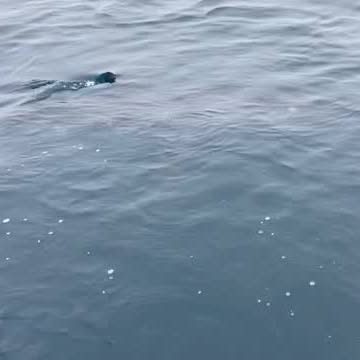 Post by natureismetal