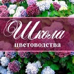 Дача Сад Дом в цветах 🌸's profile picture