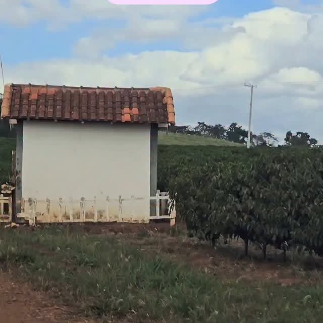Post by zecadoagro