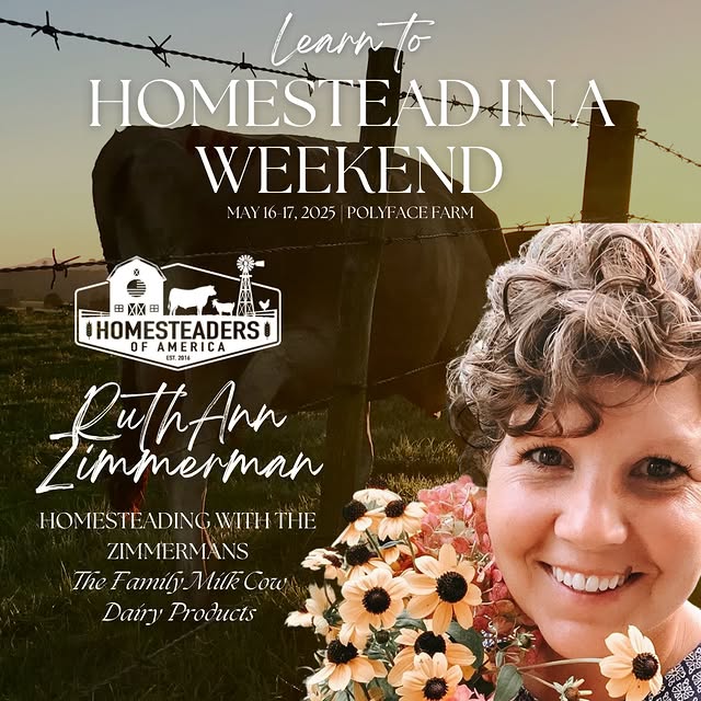 Post by homesteadersofamerica