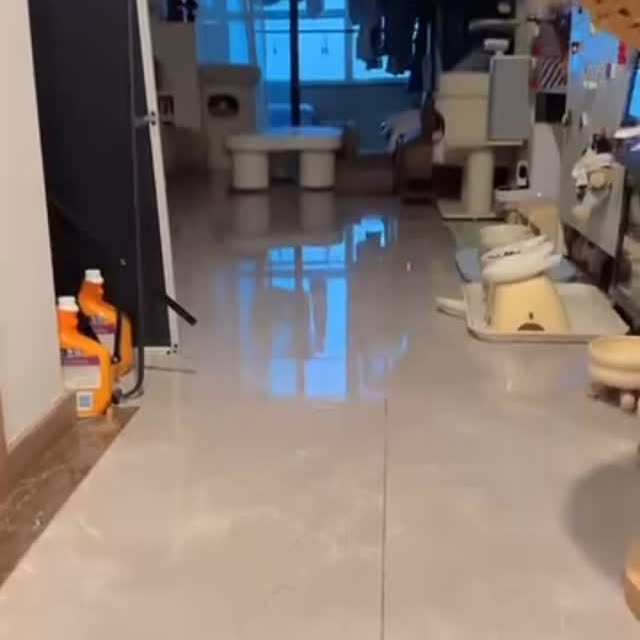 Post by dailycats.co