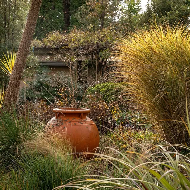 Post by wildsidegarden